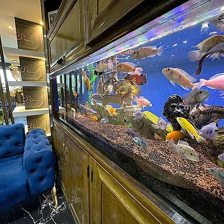 شقة Grand Lara & اسطنبول